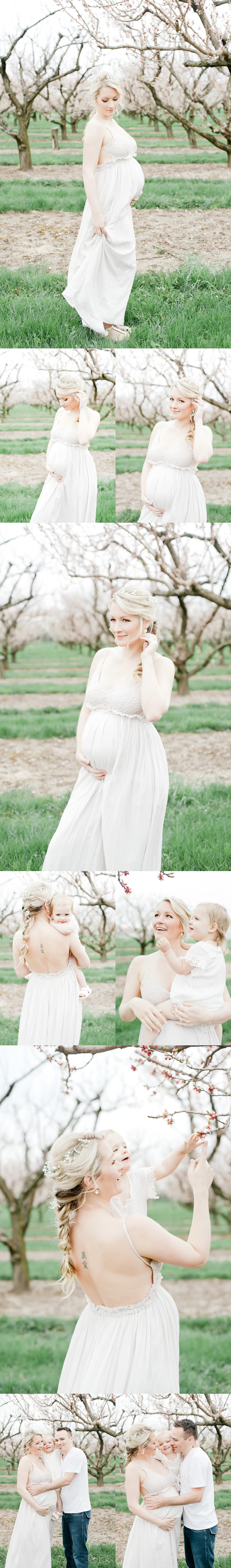 maternity portraits in the blooming orchards in Niagara